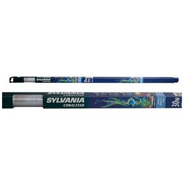 Sylvania Actınıc Coralstar 30W Floresan Lamba