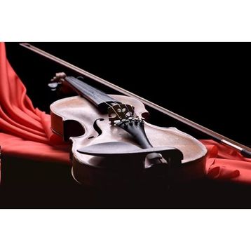 Tablolife Keman 2 35 x 50 cm Kanvas Tablo