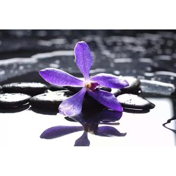 Tablolife Mor Menekşe 35 x 50 cm Kanvas Tablo