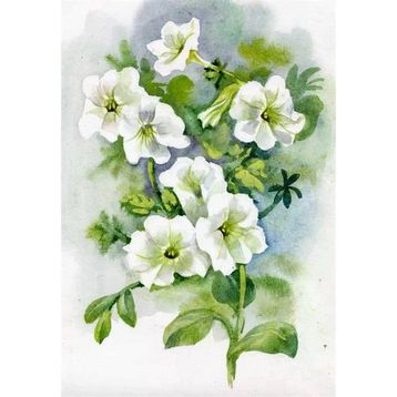 Tablolife Petunya 60x90 cm Kanvas Tablo