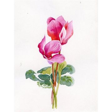 Tablolife Siklamen 60x90 cm Kanvas Tablo