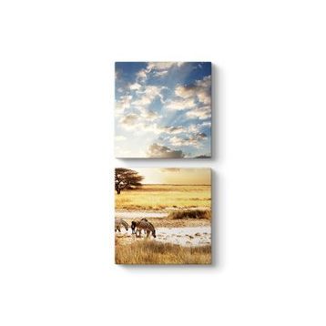 Tabloshop Afrika Zebra 60x60 cm Tablo