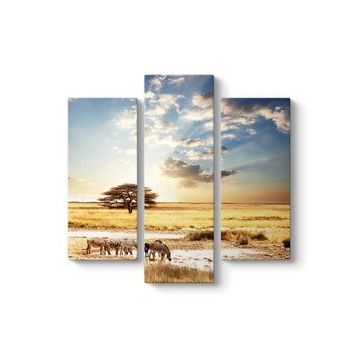 Tabloshop Afrika Zebra 60x60 cm Tablo