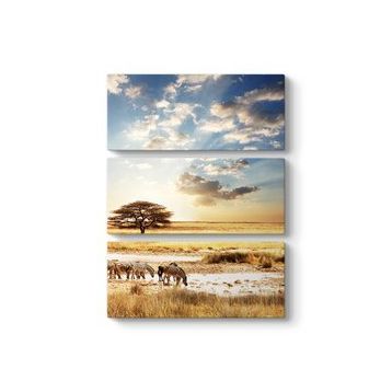 Tabloshop Afrika Zebra 60x60 cm Tablo