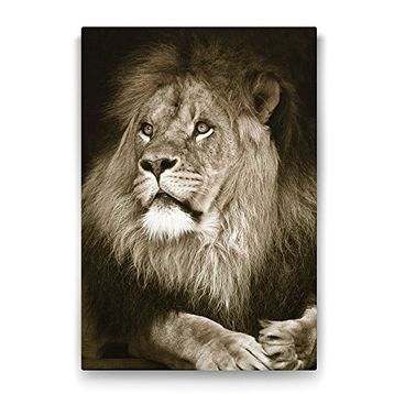 Tabloshop Aslan 80x125 cm Tablo