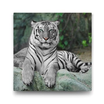 Tabloshop Bengal Kaplanı 60x60 cm Tablo