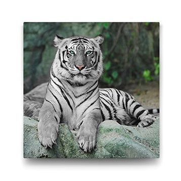 Tabloshop Bengal Kaplanı 60x60 cm Tablo