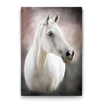 Tabloshop Beyaz At 40x60 cm Tablo
