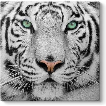 Tabloshop Beyaz Kaplan 100x100 cm Tablo