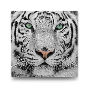 Tabloshop Beyaz Kaplan 40x40 cm Tablo