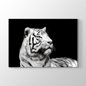 Tabloshop Beyaz Kaplan Profil 45x30 cm Tablo