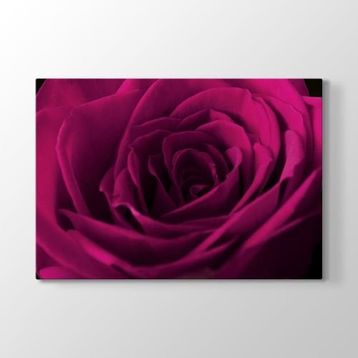 Tabloshop Bordo Gül 140x100 cm Tablo