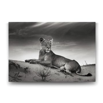 Tabloshop Dişi Aslan 140x100 cm Tablo