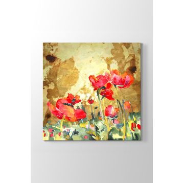 Tabloshop Gelincik 70x70 cm Yağlı Boya Tablo