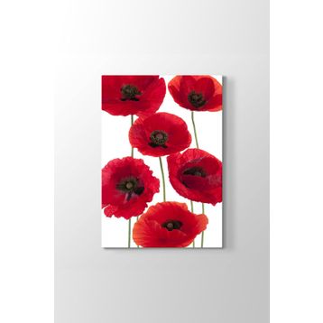 Tabloshop Gelincik Çiçeği Vektör 80x125 cm Tablo