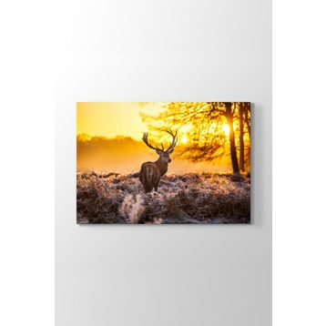 Tabloshop Geyik 90x60 cm Tablo