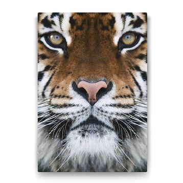 Tabloshop Kaplan Yüzü 70x100 cm Tablo