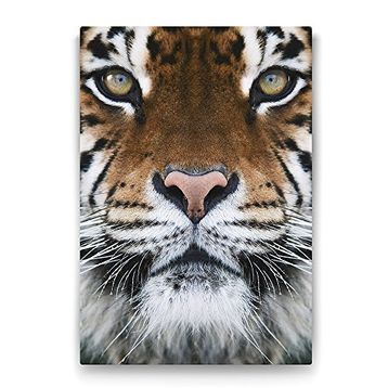 Tabloshop Kaplan Yüzü 70x100 cm Tablo