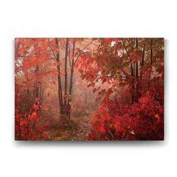 Tabloshop Kırmızı Çınar Yapraklı 60x40 cm Tablo