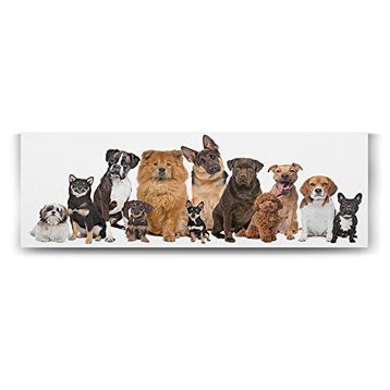 Tabloshop Köpek Irkları 90x30 cm Tablo