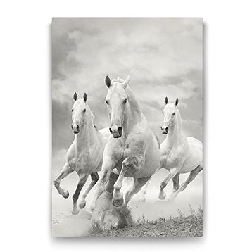 Tabloshop Koşan Beyaz At 60x90 cm Tablo