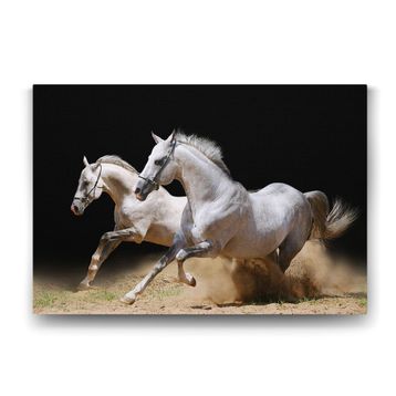 Tabloshop Koşan Beyaz Atlar 125x80 cm Tablo