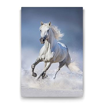 Tabloshop Koşan Yalnız At 60x90 cm Tablo