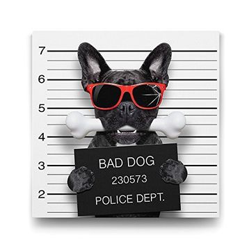 Tabloshop Kötü Köpek 50x50 cm Tablo