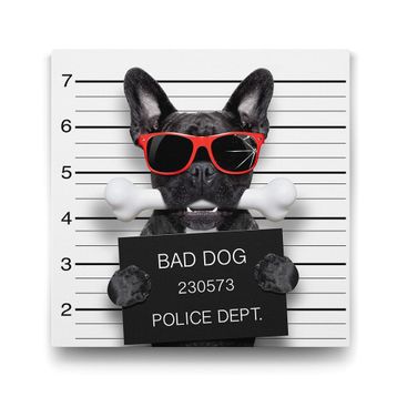 Tabloshop Kötü Köpek 70x70 cm Tablo