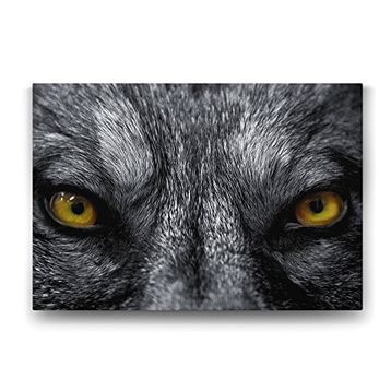 Tabloshop Kurt Gözleri 45x30 cm Tablo