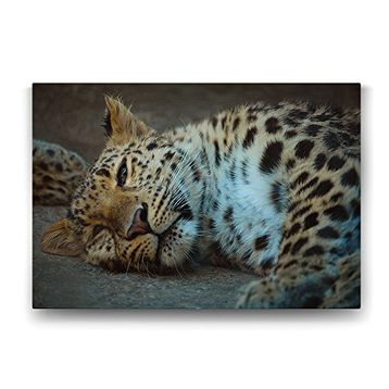 Tabloshop Leopar 140x100 cm Tablo