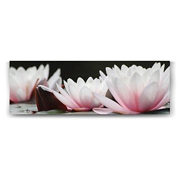 Tabloshop Lotus Panorama 120x40 cm Tablo