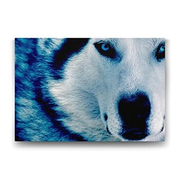 Tabloshop Mavi Kurt 60x40 cm Tablo