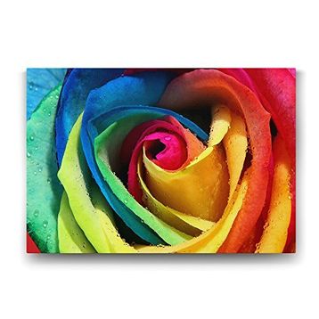 Tabloshop Rengarenk Gül 75x50 cm Tablo