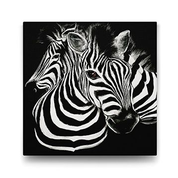 Tabloshop Siyah Beyaz Zebra 60x60 cm Tablo
