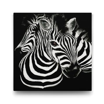 Tabloshop Siyah Beyaz Zebra 80x80 cm Tablo