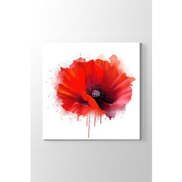 Tabloshop Vektörel Gelincik 70x70 cm Tablo
