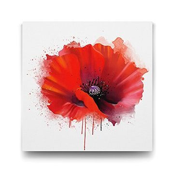 Tabloshop Vektörel Gelincik 70x70 cm Tablo