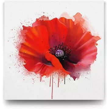 Tabloshop Vektörel Gelincik 80x80 cm Tablo