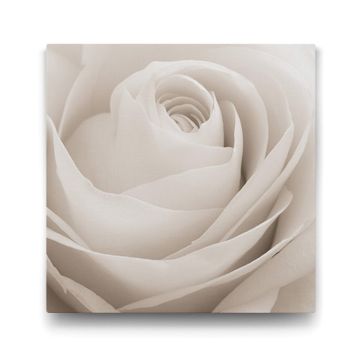 Tabloshop Yeşil Gözlü Beyaz Kaplan 60x60cm Tablosu