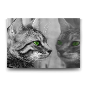 Tabloshop Yeşil Gözlü Kedi 90x60 cm Tablo