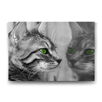 Tabloshop Yeşil Gözlü Kedi 90x60 cm Tablo