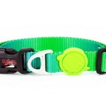 Tailpetz Amazon Collar M Köpek Boyun Tasması