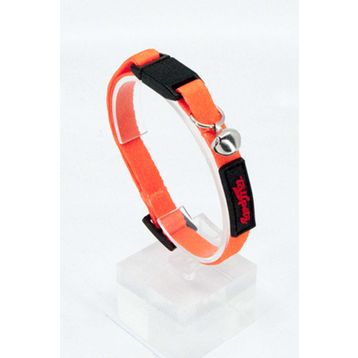Tailpetz Collar Turuncu Kedi Boyun Tasması