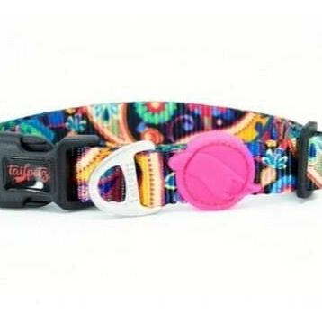 Tailpetz Piısley Collar M Köpek Boyun Tasması