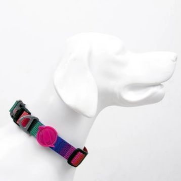 Tailpetz Wave XS Köpek Boyun Tasması
