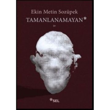 Tamanlanamayan - Ekin Metin Sozüpek