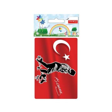 Tanex STC-274 Ata 2 Adet Etiket