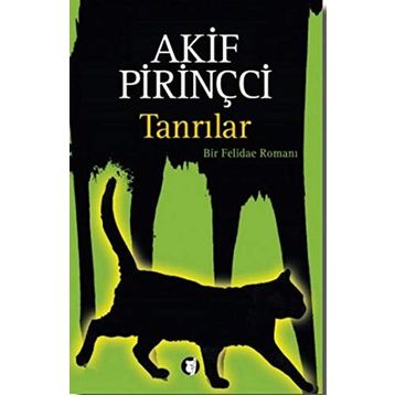 Tanrılar - Akif Pirinçci