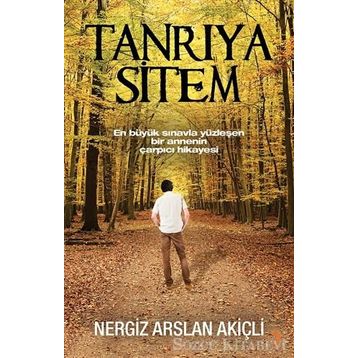 Tanrıya Sitem - Nergiz Arslan Akiçli